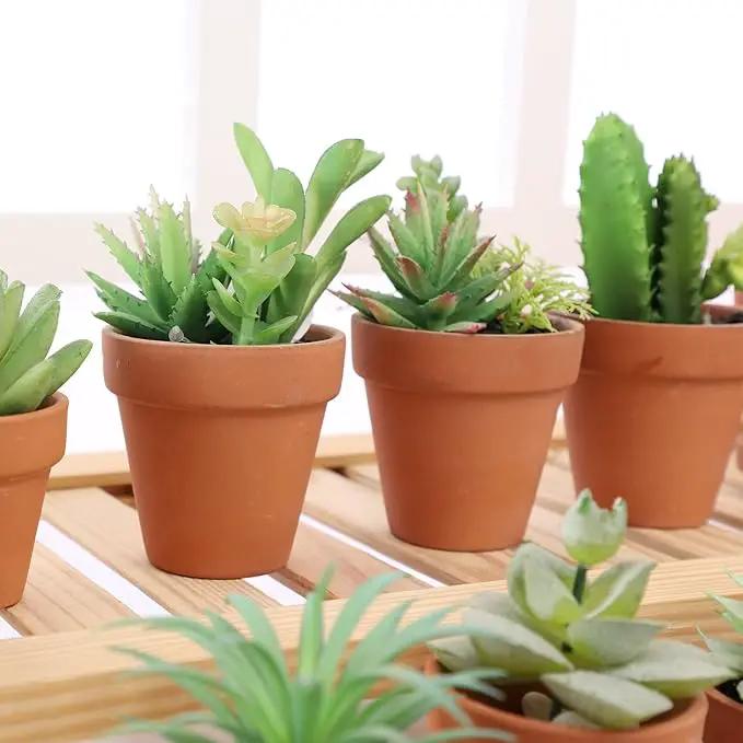Yishang 2.5 inch Terracotta Pots with Drainage Holes,Small Mini Clay Ceramic Pottery Planter,Cactus Flower Terra Cotta Pots,Succulents Nursery Pots for Indoor/Outdoor Plants,Crafts,Wedding-36 Pack by GreenHaven Gardens