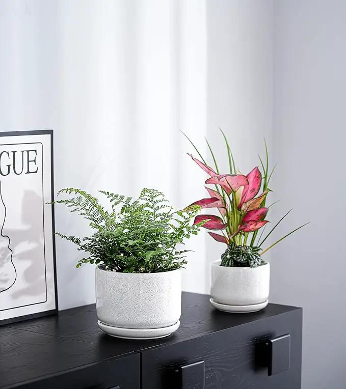 Ton Sin Plant Pots, 4.1+5.1+6.5 inch, Set of 3, Ceramic Planters with Drainage Hole and Saucer, Indoor Flower Pot with Hole Mesh Pad, Gifts for Mom(Reactive Glaze White) by GreenHaven Gardens