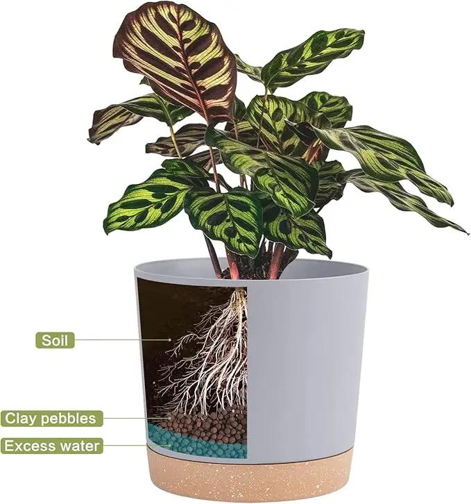 QCQHDU 8 inch Plant Pot, 2 Pack Planters for Indoor Plants with Drainage Holes & Saucer, Outdoor Flower Pots Home Garden Modern Decor by GreenHaven Gardens