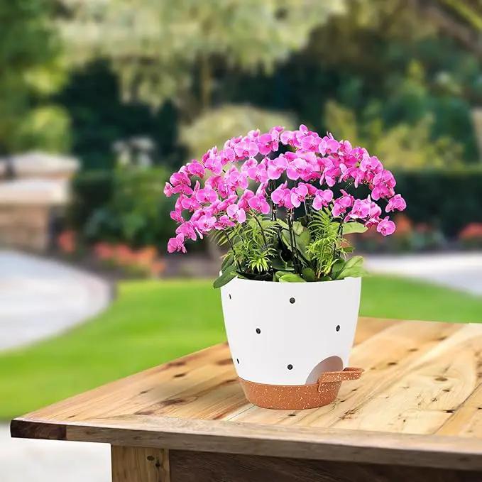 6 Inch Orchid Pots with Holes, 2 Pack Self Watering Planters for Orchids Plastic Orchid Pot Plant Flower Pots for Orchids Indoor Outdoor (White with Brown) by GreenHaven Gardens