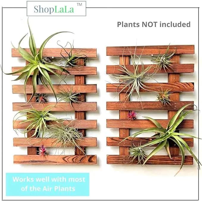 ShopLaLa Wall Planter - 2 Pack Wooden Orchid Planter Frame Display Outdoor Plants, Wall Mount Air Plants Succulent Holder Hanger, Vertical Garden Plant Wall Decor Macetas para Orquideas 15.7" (40cm) by GreenHaven Gardens