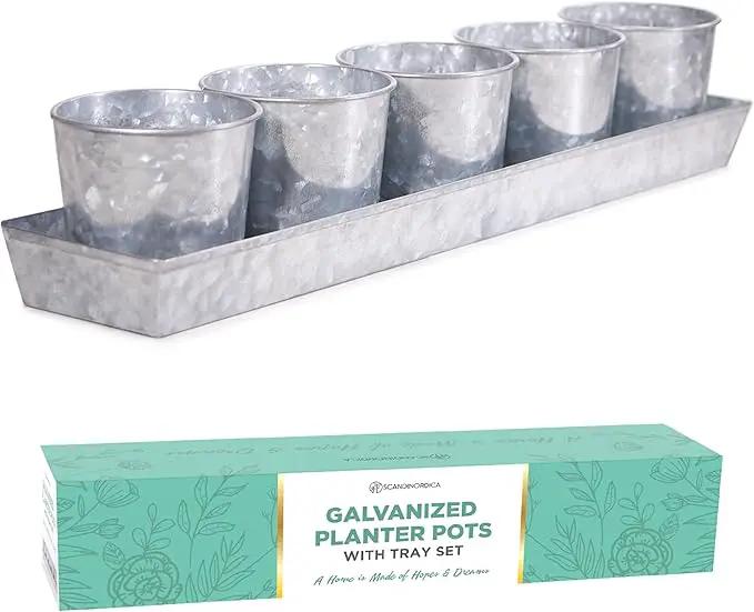 SCANDINORDICA Galvanized Metal Herb Planter, 5 Pots with Drainage Holes, Indoor Outdoor Use, Farmhouse Decor, 19.5x3.9x3.5 inches by GreenHaven Gardens