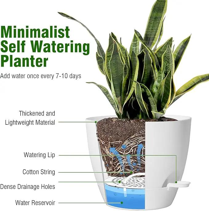 Large Self Watering Pots, 12/10/9 Plastic Planters with High Drainage Holes and Deep Reservoir for Indoor Outdoor Garden Plants and Flowers, White by GreenHaven Gardens