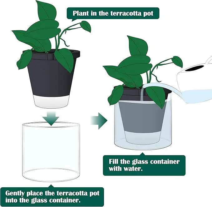 D'vine Dev 8 Inch Design Self Watering Planter for Indoor Plants, Black Terracotta Pot with Cylinder Glass Cup, 37-X-C-3 by GreenHaven Gardens