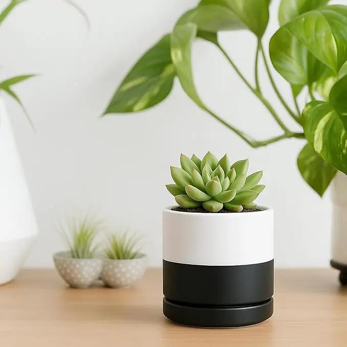 D'vine Dev 3.5 Inch Ceramic Planter Pot with Drainage Hole and Saucer, Indoor Cylinder Round Planter Pot, Layered Monochrome Black & White, 94-O-A-L by GreenHaven Gardens