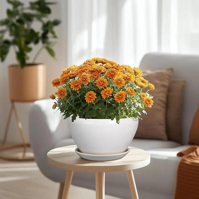 Ceramic Planter - 9 Inch Plant Pot Indoor with Drainage Hole and Saucer for Outdoor Plants Mid-Century Round Planter Modern Flower Pot for House Garden White by GreenHaven Gardens