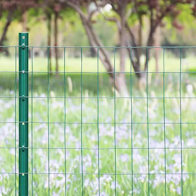 Green PVC Coated Welded Wire Fence 36 Inch x 25 Foot, 2 Inch x 3 Inch 16GA, Garden Border Fencing Roll Vinyl Coating Metal Wire Mesh for Yard Vegetable Plant Protection Poultry Netting by GreenHaven Gardens