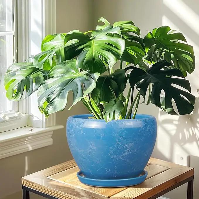 10 Inch Planter Pot - Ceramic Pots for Plants with Drainage Hole and Saucer, Round Large Flower Pot for Indoor Plants, Blue by GreenHaven Gardens