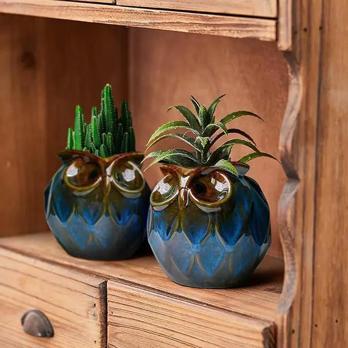 GeLive Blue Owl Ceramic Succulent Planter with Drainage Hole Animal Plant Pot Tabletop Decoration Vase Window Box Indoor Outdoor Decor (Blue) by GreenHaven Gardens