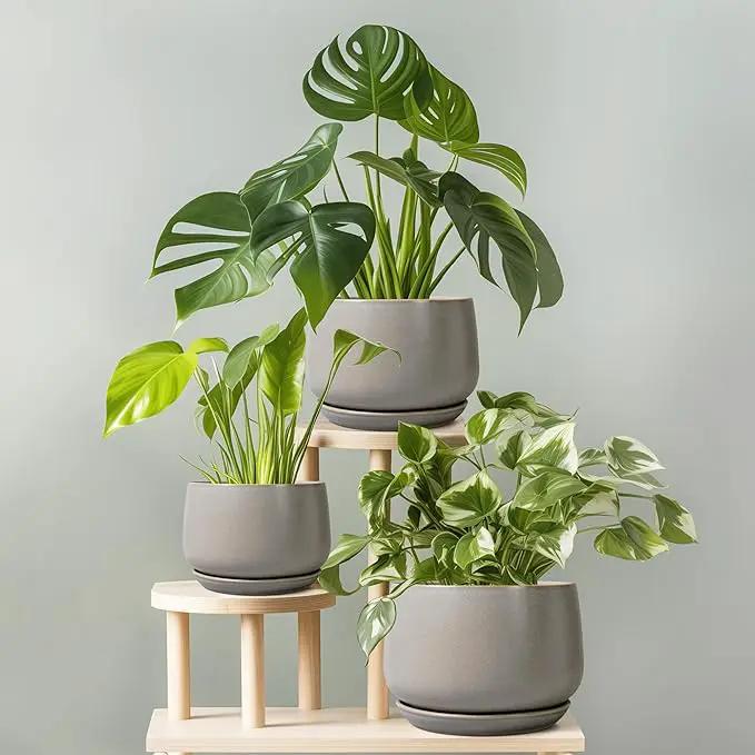 G EPGardening Ceramic Pots for Plants 7 Inch - Large Ceramic Planters for Indoor Plants Outdoor Modern Flower Pot with Drainage Holes and Saucer for Office Garden Patio Grey by GreenHaven Gardens