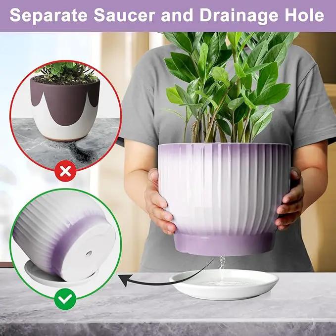 8 Inch Plant Pot, Ceramic Planter with Drainage and Saucer, Ceramic Pots for Plants, Indoor Plant pots,Ceramic Flower pots(Purple + White, Plants NOT Included) by GreenHaven Gardens