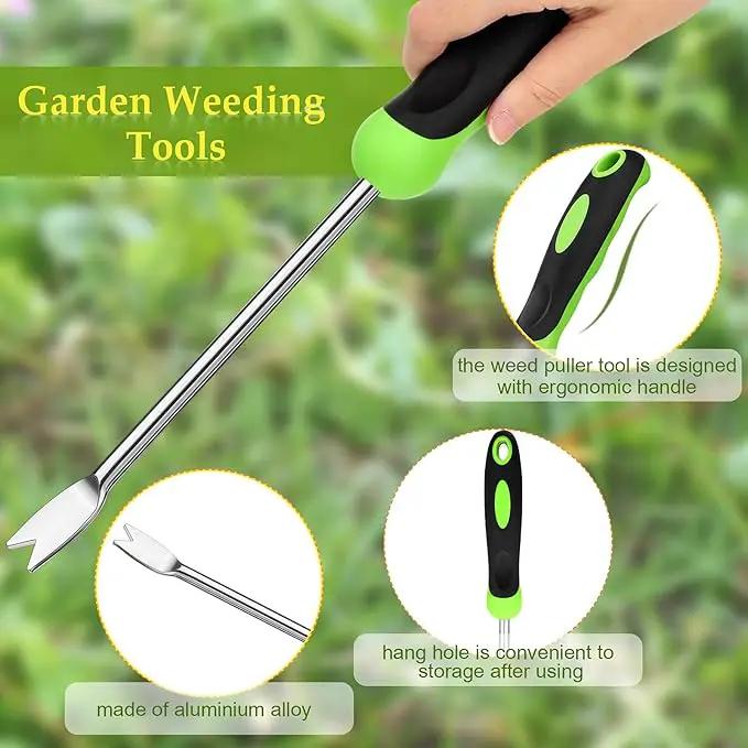 Hand Weeder Tool Garden Weeding Tool Gardening Weeder Tool with Ergonomic Handle, Stainless Steel Garden Lawn Farmland Transplant Gardening Plant Tool（2 Pronged Fork, 2 Pieces） by GreenHaven Gardens