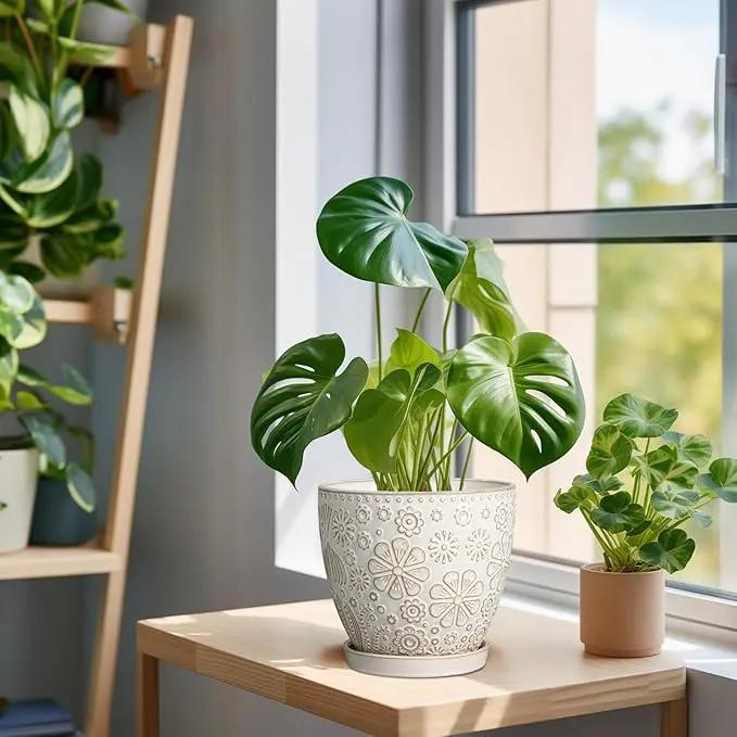 6.9 Inch Plant Pot with Drainage Hole and Saucer Ceramic Planter for Indoor Plant Flower Pot for Orchid Succulents Plants White by GreenHaven Gardens