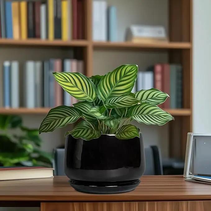 G EPGardening Ceramic Planter 7 Inch - Ceramic Pot for Plants with Drainage and Saucer, Round Plant Pots, Modern Indoor Outdoor Planter, Home Decor, Garden Gifts, Black by GreenHaven Gardens