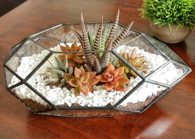 Ferrisland Handmade 10" Large Glass Terrarium Irregular Geometric Planter Indoor Air Plants Holder Window Balcony Display Succulent Flower Pot, Black by GreenHaven Gardens