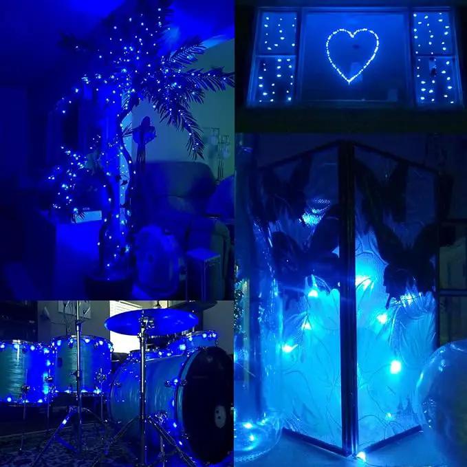 66Ft 200LED Fairy Lights Plug in, Waterproof String Lights Outdoor & Indoor 8 Modes with Timer, Christmas Light Bedroom Decor, Twinkle Light for Girl's Room Garden Christmas Decorations (Blue) by GreenHaven Gardens