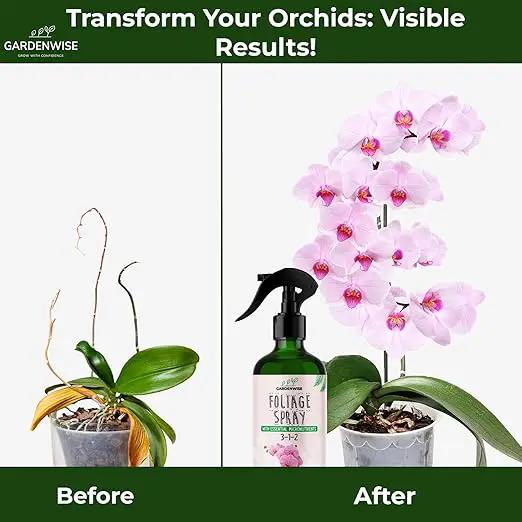 Premium Orchid Plant Food Mist – Orchid Fertilizer Spray – Orchid Food Fertilizer for Blooming – Orchid Plant Care Formula 3-1-2 – Ready-to-Use (8 OZ) by GreenHaven Gardens