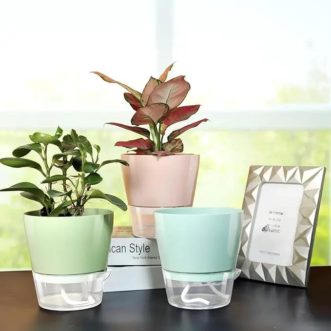 Hayder Plant Pots 6 inch Set of 6, Self Watering Flower Pots Indoor Outdoor, Self Watering Planters with Drainage Hole & Clear Saucer Reservoir by GreenHaven Gardens