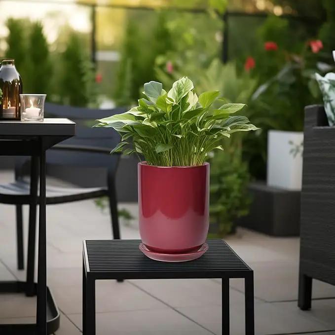 Ceramic Pot for Plants - 8 Inch Plant Pot Indoor with Drainage Hole and Saucer Cylinder Flower Pot for Indoor Outdoor Plants Home Patio Office Decor Red by GreenHaven Gardens