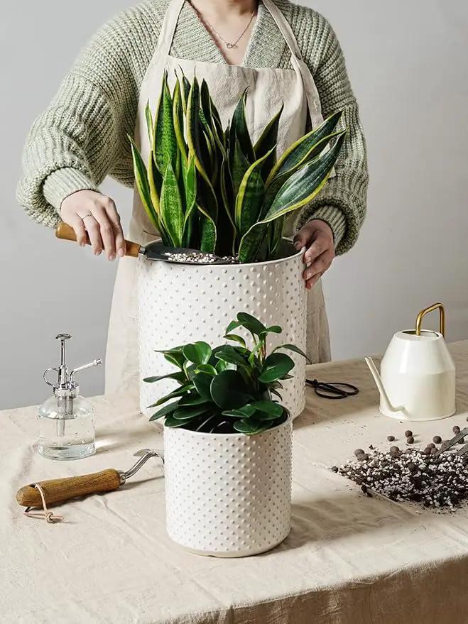 LE TAUCI 6+8+10 Inch Plant Pots Indoor, Ceramic Planter Pots for Plants, Raised Dots Flower Pots Indoor for Home and Office, Mid-Modern Century Pots with Drainage Hole and Plug, Glaze Arctic White by GreenHaven Gardens