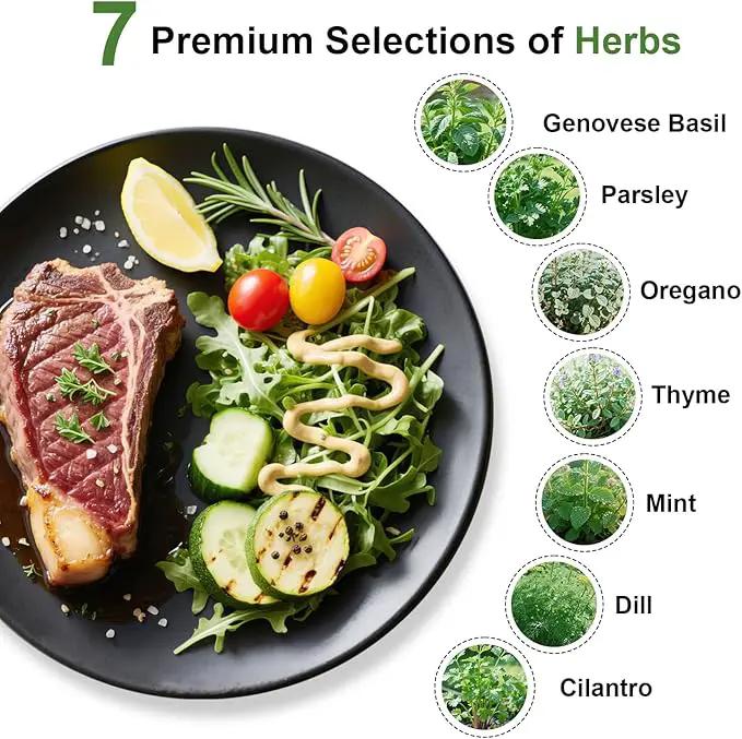 Gourmet Herbs Seed Pod Kit for AeroGarden, iDoo, Ahopegarden, MUFGA Hydroponics Garden with Basil, Parsley, Thyme, Mint, Cilantro, Dill, Oregano - Compatible with All Hydroponics (7-Pod) by GreenHaven Gardens