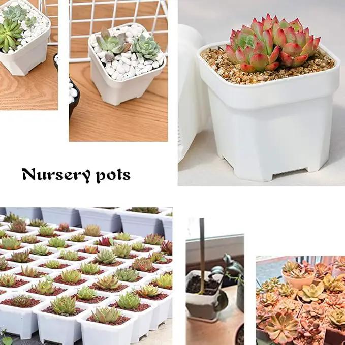 OJYUDD 3inch White Square Plastic Pots with Saucer, Drainage Hole, 24 Pcs, for Flower/Plant, Home,Company,Office and Garden(White) by GreenHaven Gardens