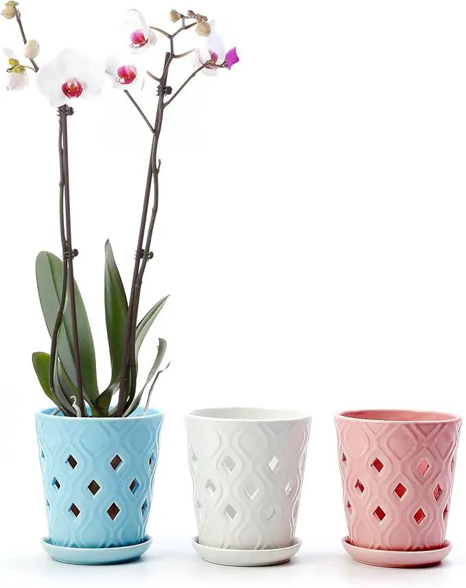 Whispering Winds Ceramic 5 x 6 Inch Orchid Pot with Holes & Saucer for Aeration and Drainage - Decorative Orchid Pots for Repotting, Prevent Over Watering & Root Rot (Charlotte Blue) by GreenHaven Gardens