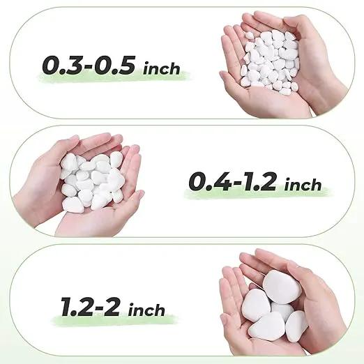 SIDONG 5 LB White River Rocks, 0.3-0.5 Inches Matte Pebbles for Indoor Plants, Aquarium Rocks Used in Fish Tank, Decorative Stones for Plants, Vases, Home Décor, Crafting, Garden Landscaping by GreenHaven Gardens