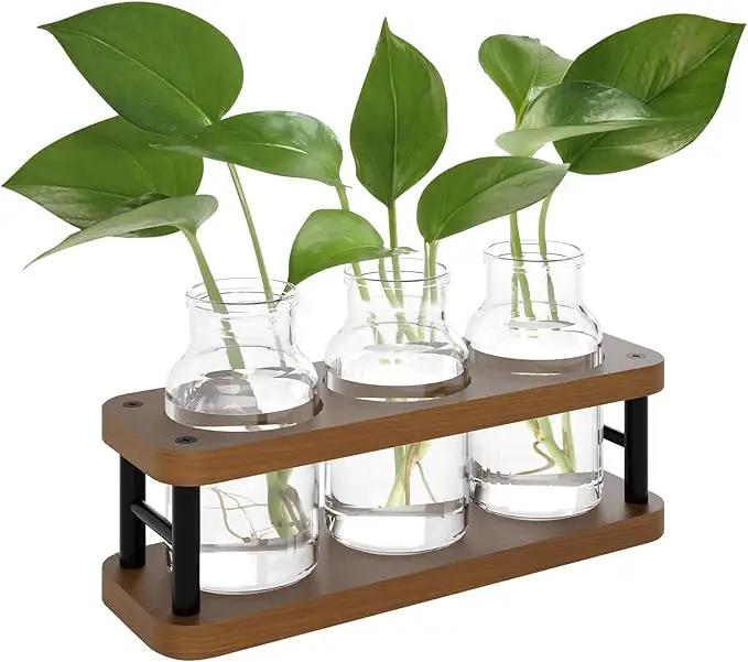 THYGIFTREE Plant Propagation Station with Wooden Stand, Propagation Vases Glass Planters for Indoor Plants Hydroponic Propagating Jars Home Office Decor, Brown by GreenHaven Gardens