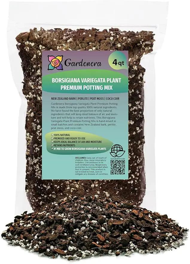 Monstera Borsigiana Soil Blend - Specially Designed for Unique Plant Needs - 4 Quart by GreenHaven Gardens