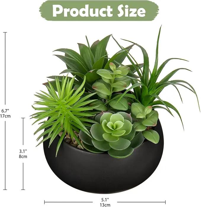 Fake Plants Artificial Succulents in Pots Faux Succulent Arrangement Potted Plant in Black Ceramic Planter Bowl for Home Decor Office Desk Bathroom Shelf Living Room Indoor Decorations by GreenHaven Gardens