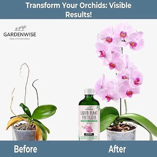 Liquid Orchid Fertilizer Concentrate 3-1-2 with Micronutrients Orchid Care Made Easy (8 OZ) by GreenHaven Gardens