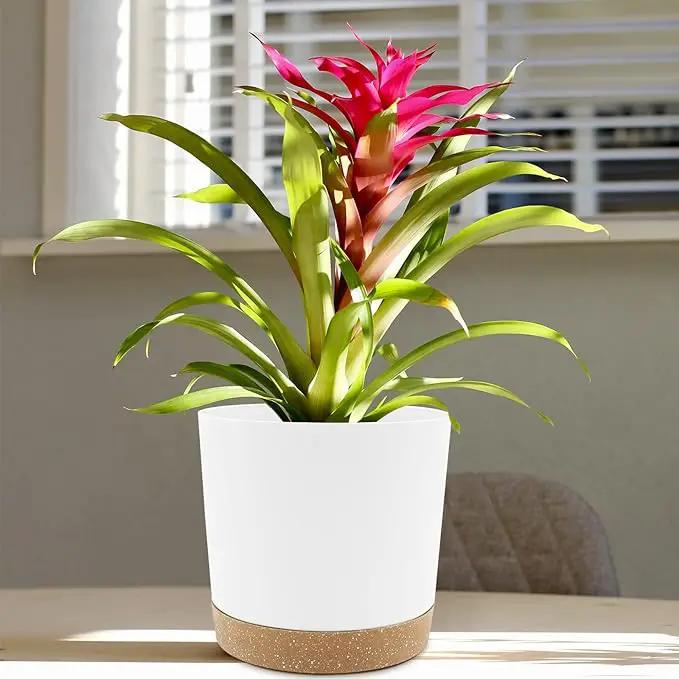 QCQHDU 8 inch Plant Pot, 2 Pack Planters for Indoor Plants with Drainage Holes & Saucer, Outdoor Flower Pots Home Garden Modern Decor by GreenHaven Gardens
