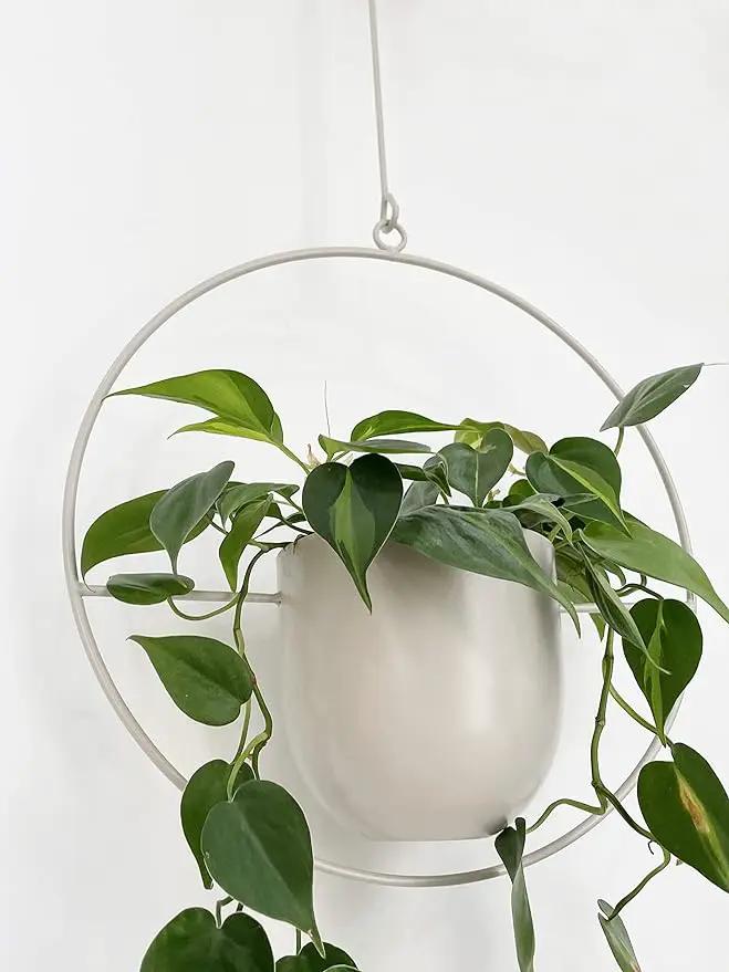 Boho White Metal Plant Hanger,Metal Wall and Ceiling Hanging Planter, Modern Planter, Mid Century Flower Pot Plant Holder, Minimalist Planter for Indoor Outdoor Home Decor… by GreenHaven Gardens