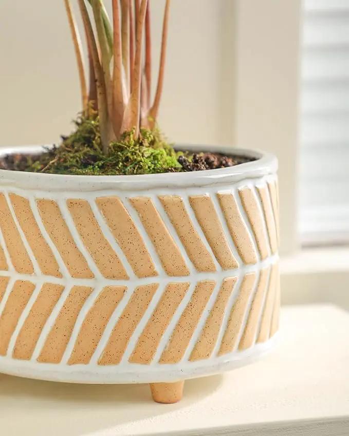 Succulent Pots, 6 Inch Pot for Indoor Plants, Footed Pots for Plants with Drainage, Succulents or Small Plant Indoor Plant Pots, Set of 2 by GreenHaven Gardens