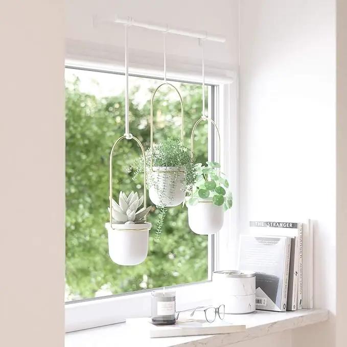 Umbra Triflora Hanging Planter for Window, Indoor Herb Garden, Set of 3, White/Brass by GreenHaven Gardens