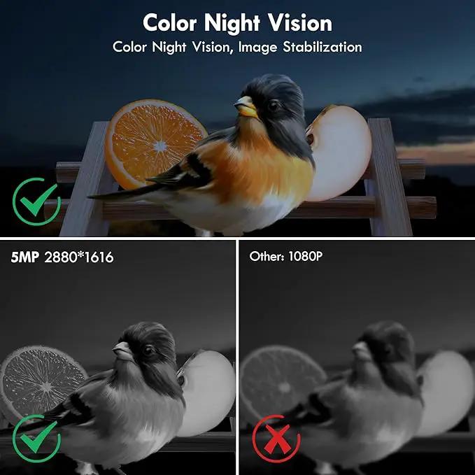 Bird Feeder, 5MP Solar-Powered Smart Bird Feeder with Camera, AI Identifies Birds 10000+, 2.4GHz, Color Night Vision, Instant Notification, Easy to Use, 1.5L Birds Feeders for Outdoor, Yard by GreenHaven Gardens