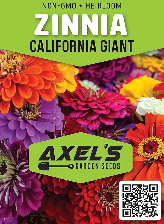 Zinnia Seeds for Planting – Non-GMO Heirloom Zinnia Flowers – Full Instruction Packets to Plant in Your Home Outdoor Garden – Gardening Gift – 50 California Giant Zinnia Seeds (2 Packets) by GreenHaven Gardens