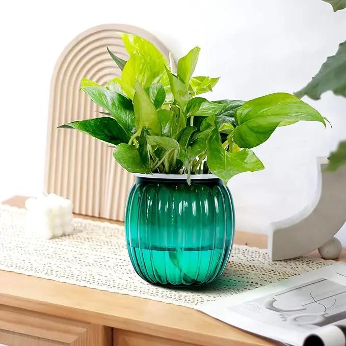Small Hanging Planters Self Watering 5 Inch, 3 Set Hanging Plant Pot for Indoor Outdoor Plants, Hanging Flower Pots with Drainage Hole & 2 Kinds of Plant Hangers for Garden Home Decor by GreenHaven Gardens