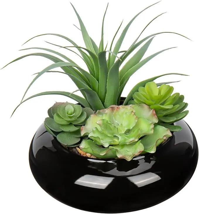 Large Artificial Succulents Plants Faux Succulents in Pots Fake Succulent Arrangement Potted Plants with Black Ceramic Pot for Office Desk Bathroom Shelf Living Room Indoor & Outdoor Home Decor by GreenHaven Gardens
