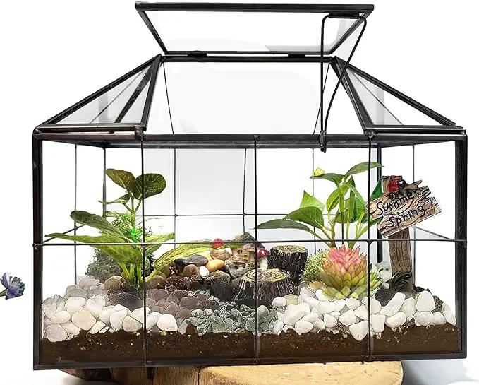 Ferrisland Glass Terrarium Greenhouse House Shape Display Box Planter for Succulents Plant Terrarium Container Mordern Tabletop Decor Gardern DIY Kit by GreenHaven Gardens