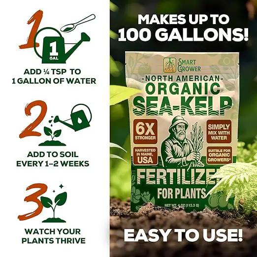 Organic Sea Kelp Fertilizer for Plants – Water-Soluble – Makes 100 Gallons – Kelp Meal Concentrate Plant Food – for Indoor Gardens, Hydroponics, Vegetables, Houseplants - Smart Grower - 4oz Bag by GreenHaven Gardens