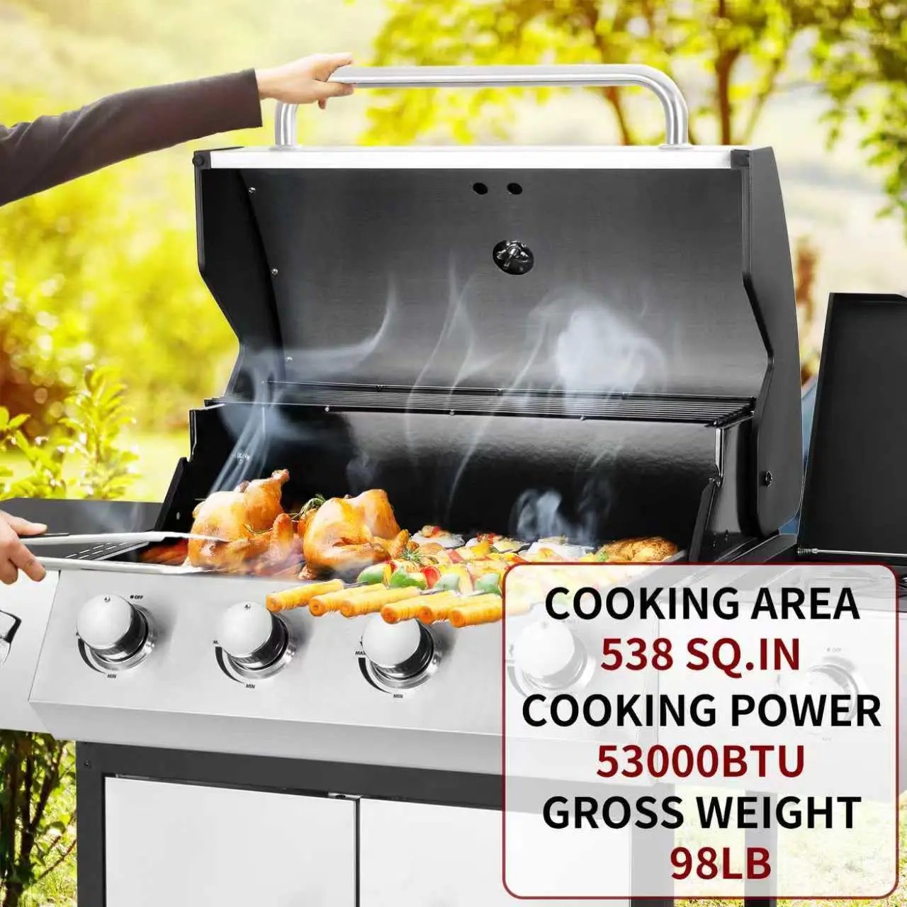 4-Burner Propane Gas BBQ Grill with Side Burner, 53,000 BTU Output with Enameled Cast Iron Grates for Patio Garden Barbecue, Stainless Steel by GreenHaven Gardens