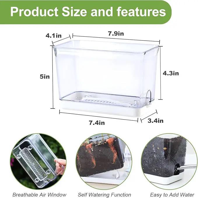 Self Watering Planter, 2 Pack African Violet Pots, Rectangular Self-Watering Clear Planters Box for Devil's Ivy, Spider Plants, Orchid. Flower Planting and Small Vegetables for Home Office by GreenHaven Gardens