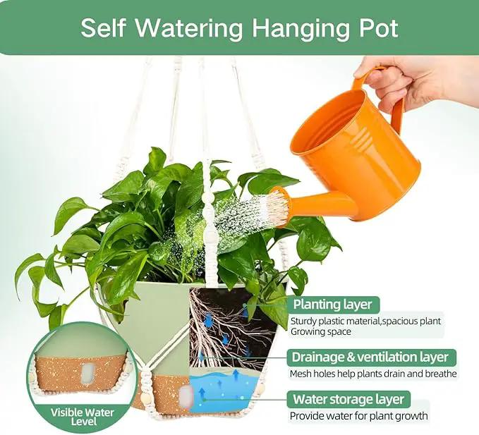 QCQHDU 2 Pack Hanging Planters for Indoor Plants, Outdoor Hanging Baskets, Self Watering Pots with Drainage Holes & Removable Tray (Green, 8 inch, Macrame Hanger) by GreenHaven Gardens