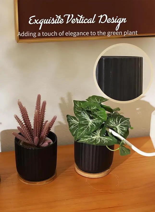 TAMAYKIM 4 Inch Small Cylinder Ceramic Plant Pots with Drainage Holes, Modern Indoor Planters with Tray for Aloe, Succulent, Snake Plants, Cactus & Herbs, Black, Set of 4 by GreenHaven Gardens