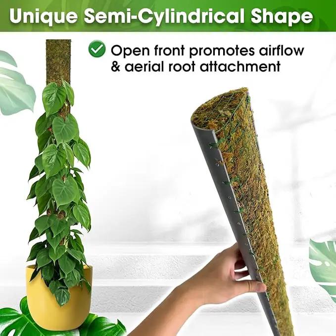 DUSPRO 59’’ D-Shape Moss Pole for Climbing Plants Monstera Moss Plant Pole Handmade Moss Stick for Indoor Plants Grow Upward (59'', 1pc.) by GreenHaven Gardens