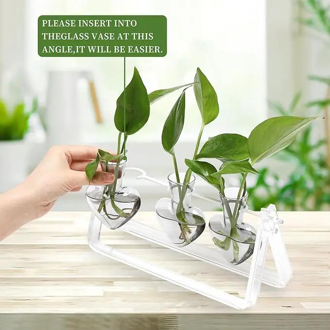 Plant Terrarium Propagation Stations with Wooden Stand Birthday Gifts for Women Plant Stand Indoor Office Home Decor by GreenHaven Gardens