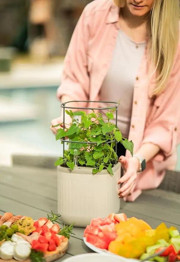 Vego garden Mini Planter Indoor Pots with Trellis Self-Watering Herb Countertop Planter for Climbing Vegetables Flowers Mint Plants Cage- Cream White by GreenHaven Gardens