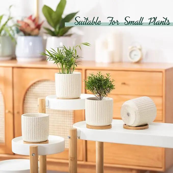TAMAYKIM 4 Inch Ceramic Plant Pots with Drainage Holes, Modern Flower Planter with Saucer for Indoor Plants, Succulent, Cactus & Herbs, Beige, Set of 4 (Plants Not Included) by GreenHaven Gardens